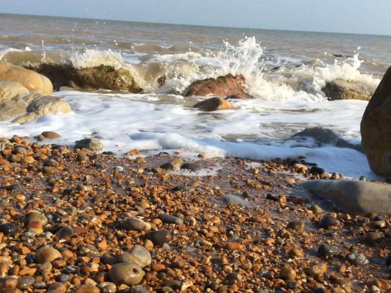 Snippets from Lock Down – A Screen Shot of Sea&nbsp;Swimming.
